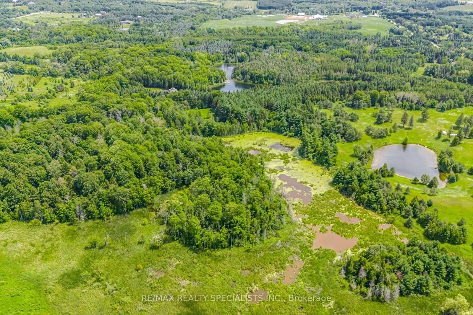 15441 Mount Pleasant Road thumbnail 9