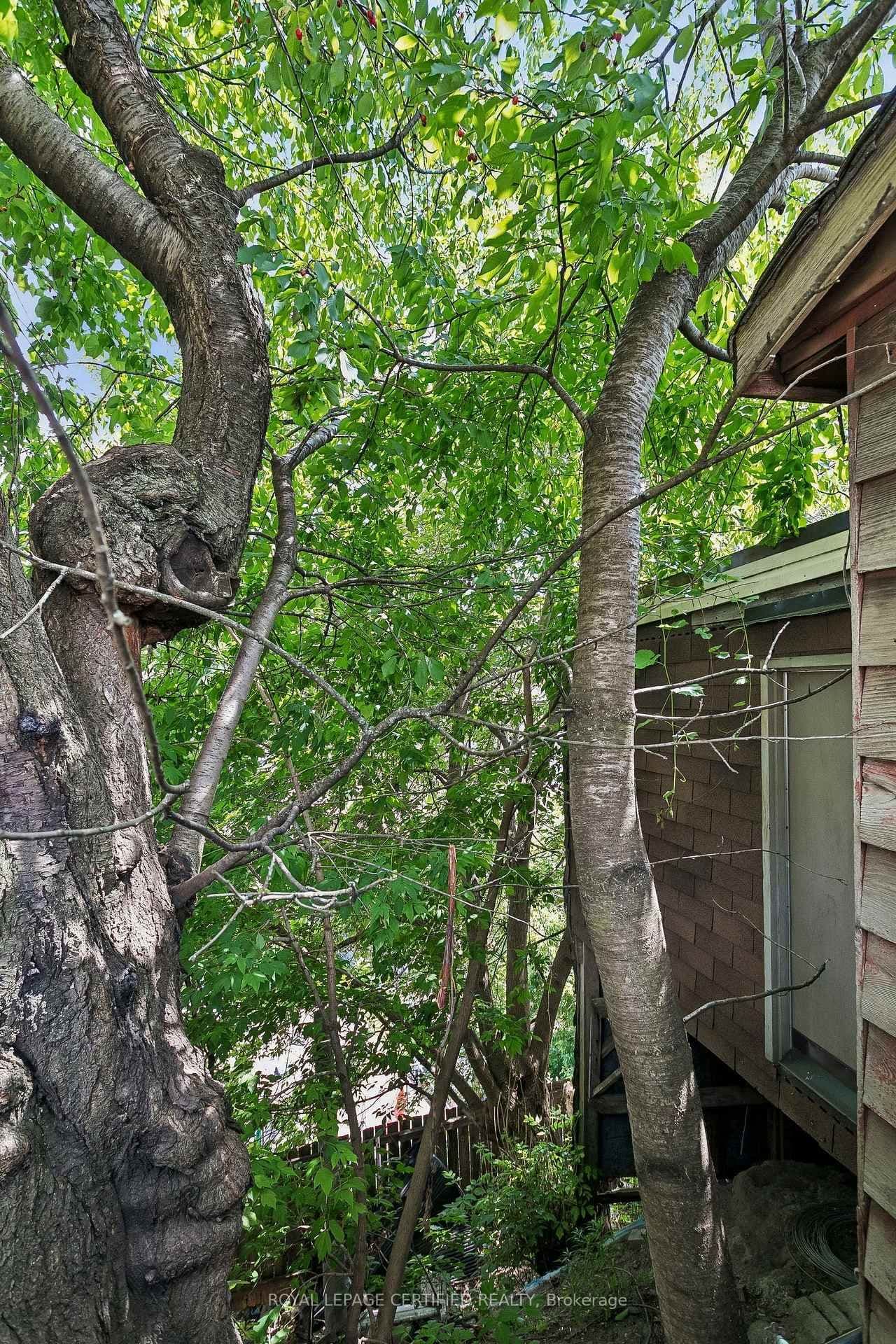 33 Donald Avenue thumbnail 35