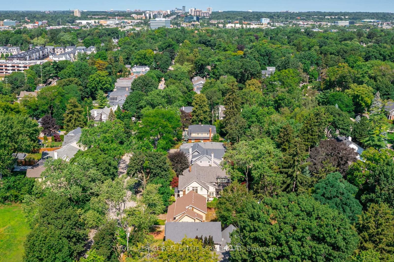 235 Douglas Avenue thumbnail 16
