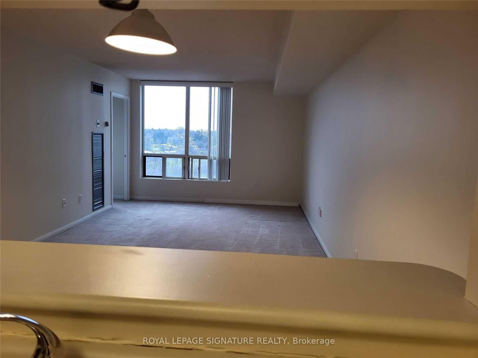 1 Hickory Tree Road, Unit 1207 thumbnail 11