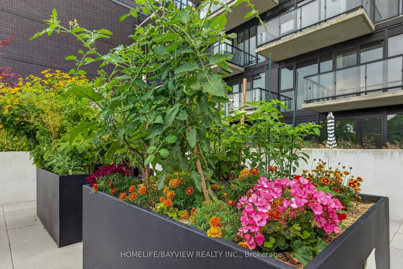 7 Smith Crescent, Unit 609 thumbnail 48