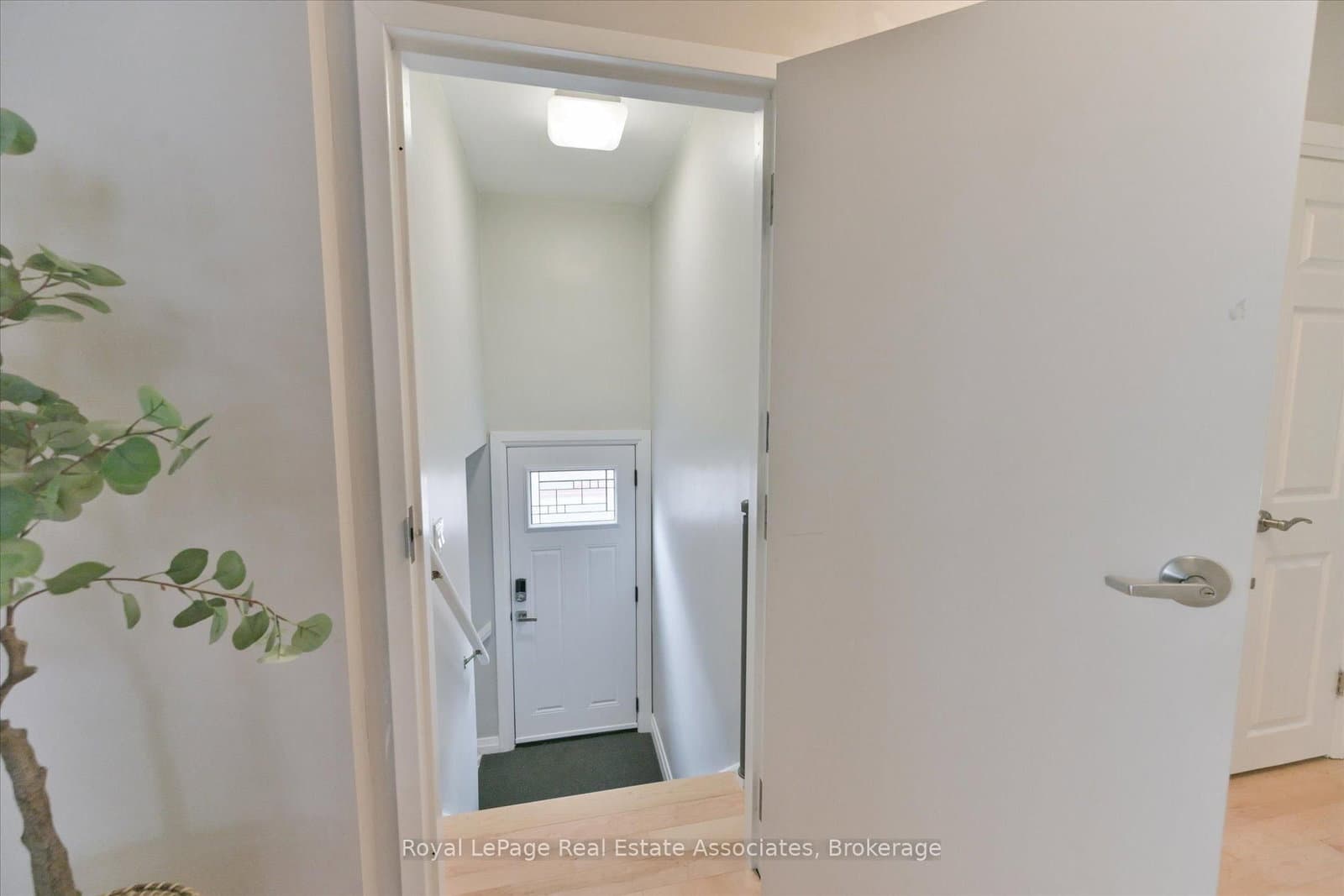 41 Ashbourne Drive thumbnail 23