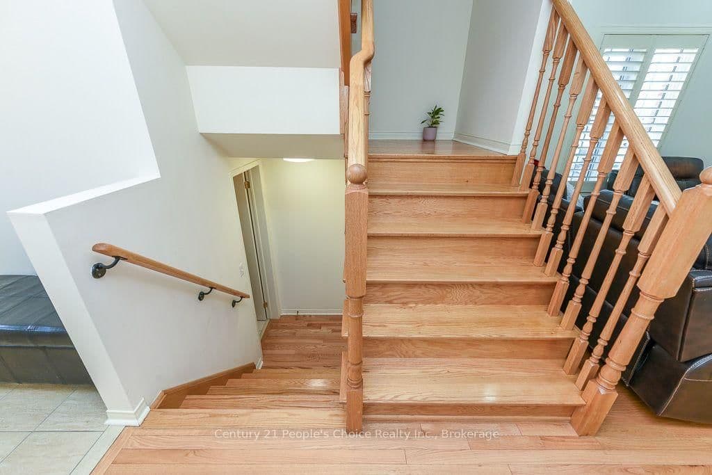 270 Brussels Avenue thumbnail 6