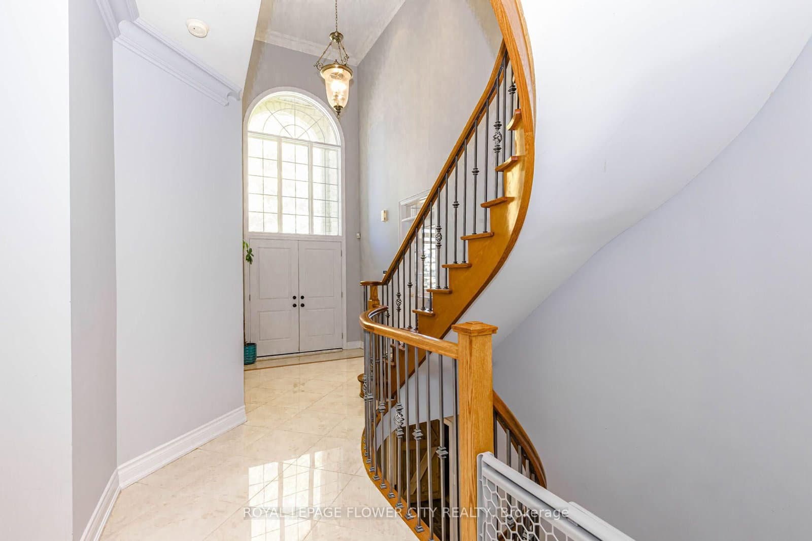 1058 Agram Drive thumbnail 7