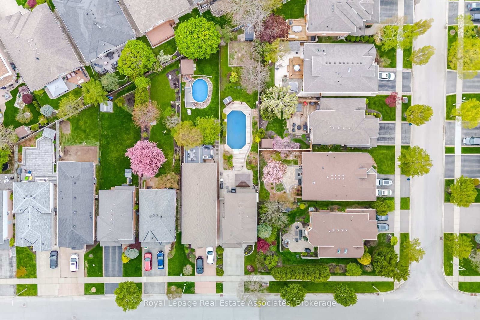 4119 Continental Drive thumbnail 5