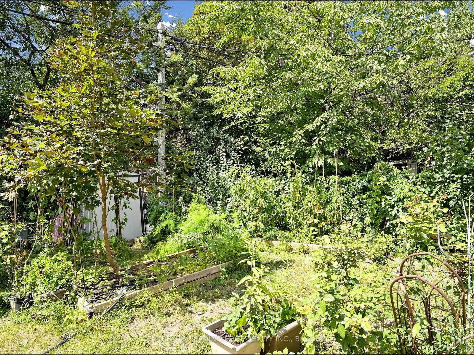 17 Tinton Crescent thumbnail 30