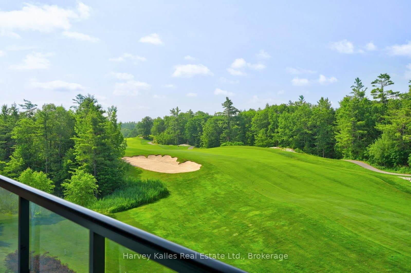 120 Carrick Trail, Unit 401 thumbnail 45