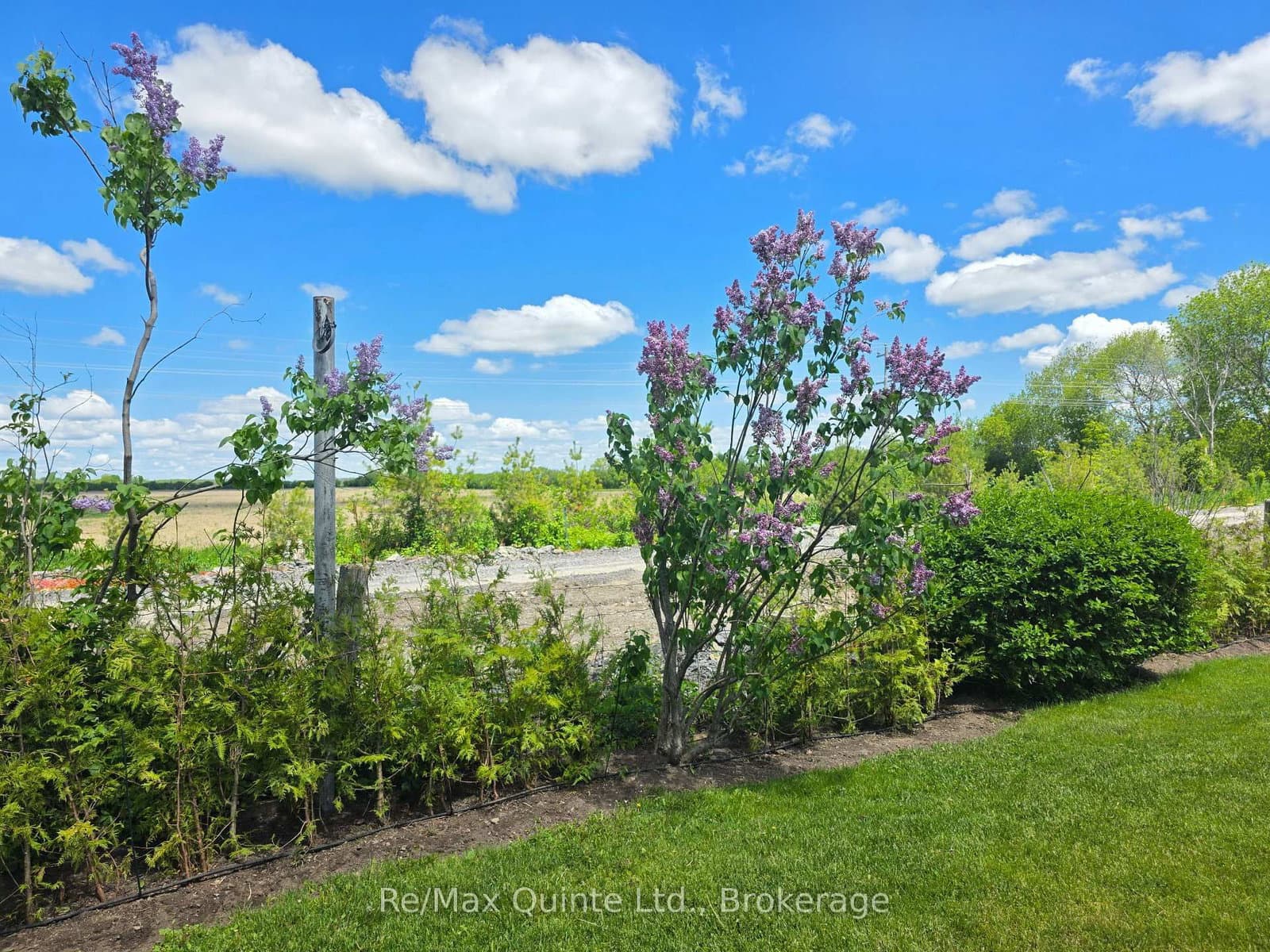 46 Lake Breeze Court thumbnail 38