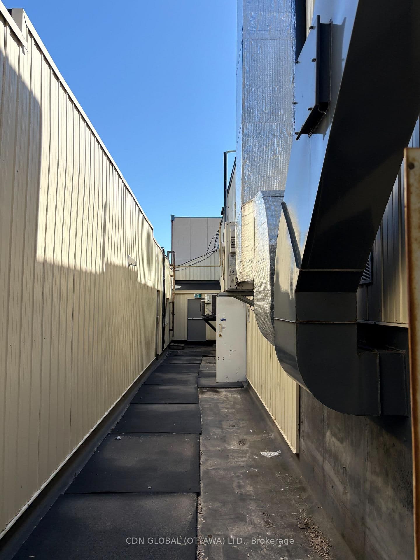 285 Richmond Road thumbnail 10