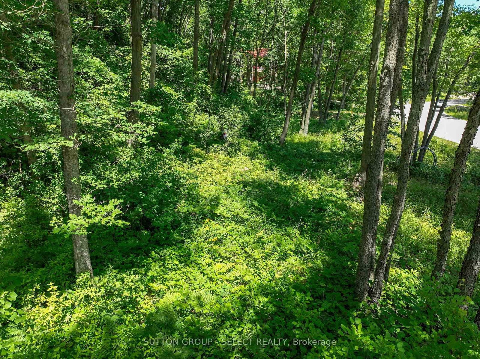 10096 Pinery Bluffs Rd, Lot 3 Road thumbnail 8