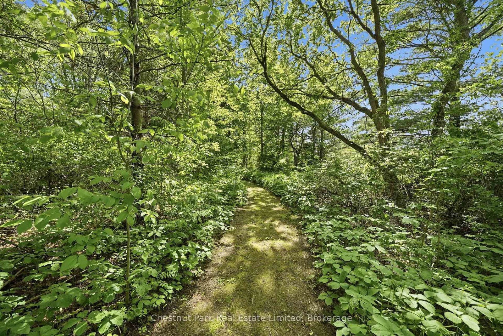 352 County Road 10 thumbnail 43