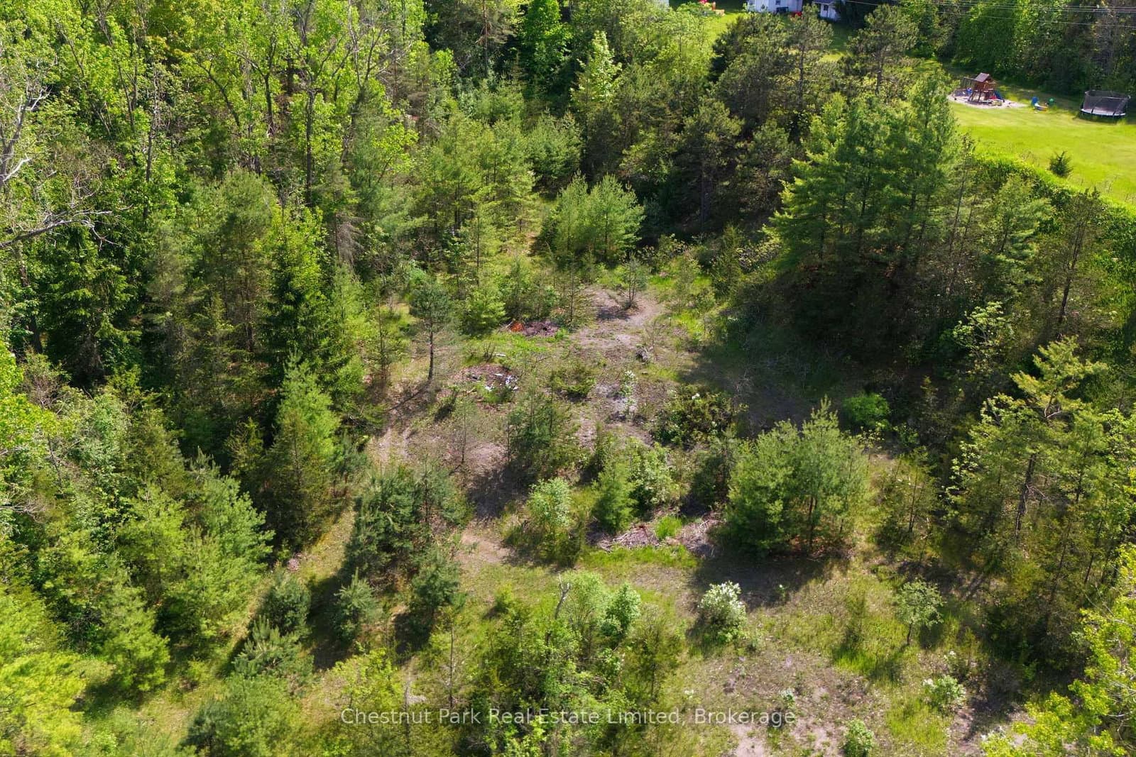 352 County Road 10 thumbnail 46