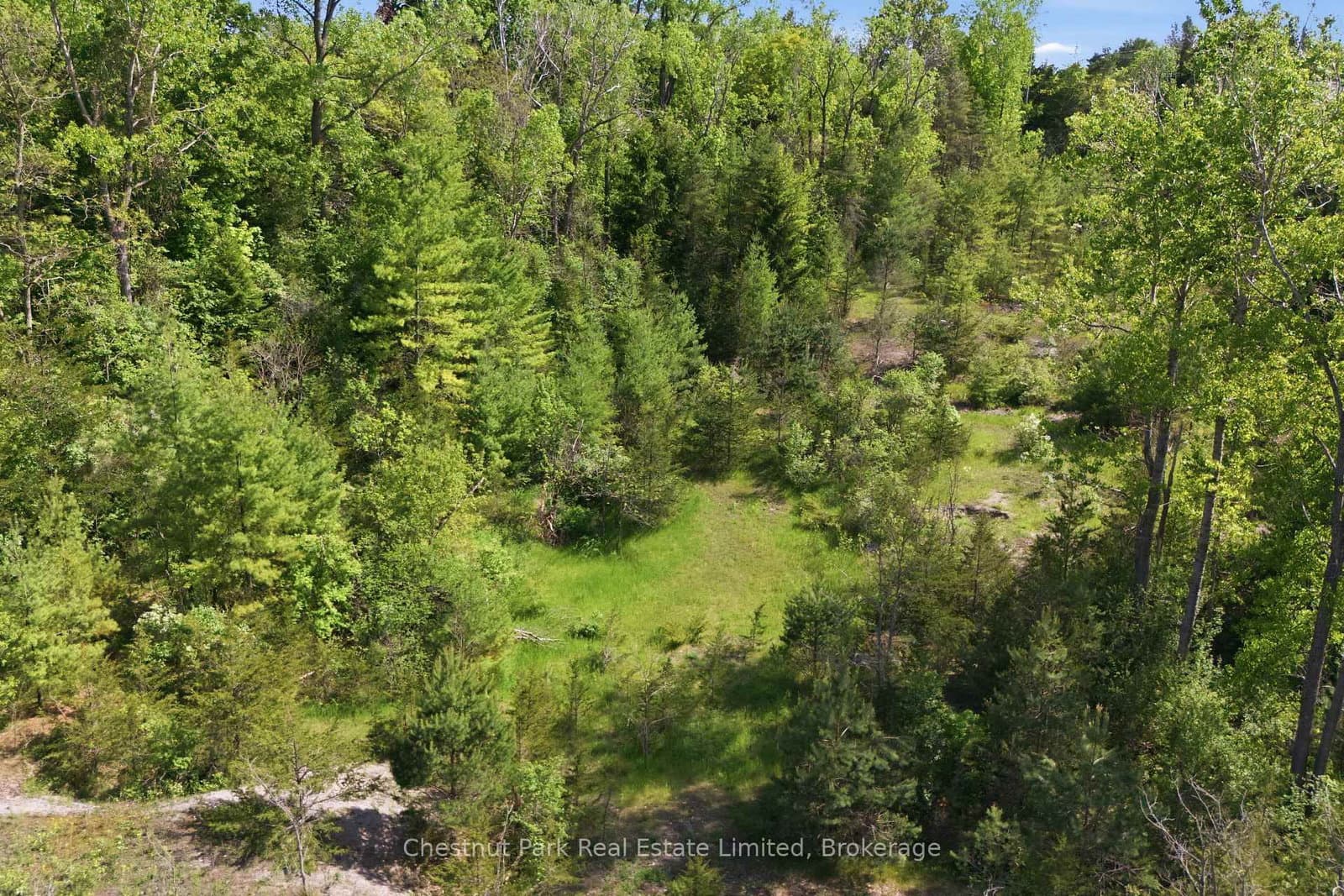 352 County Road 10 thumbnail 47