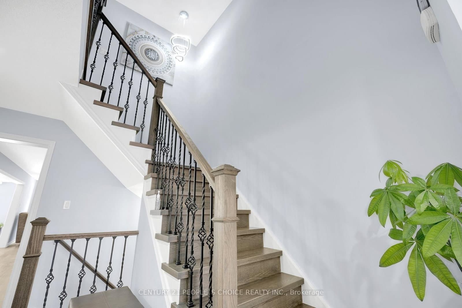 286 Macalister Boulevard thumbnail 16