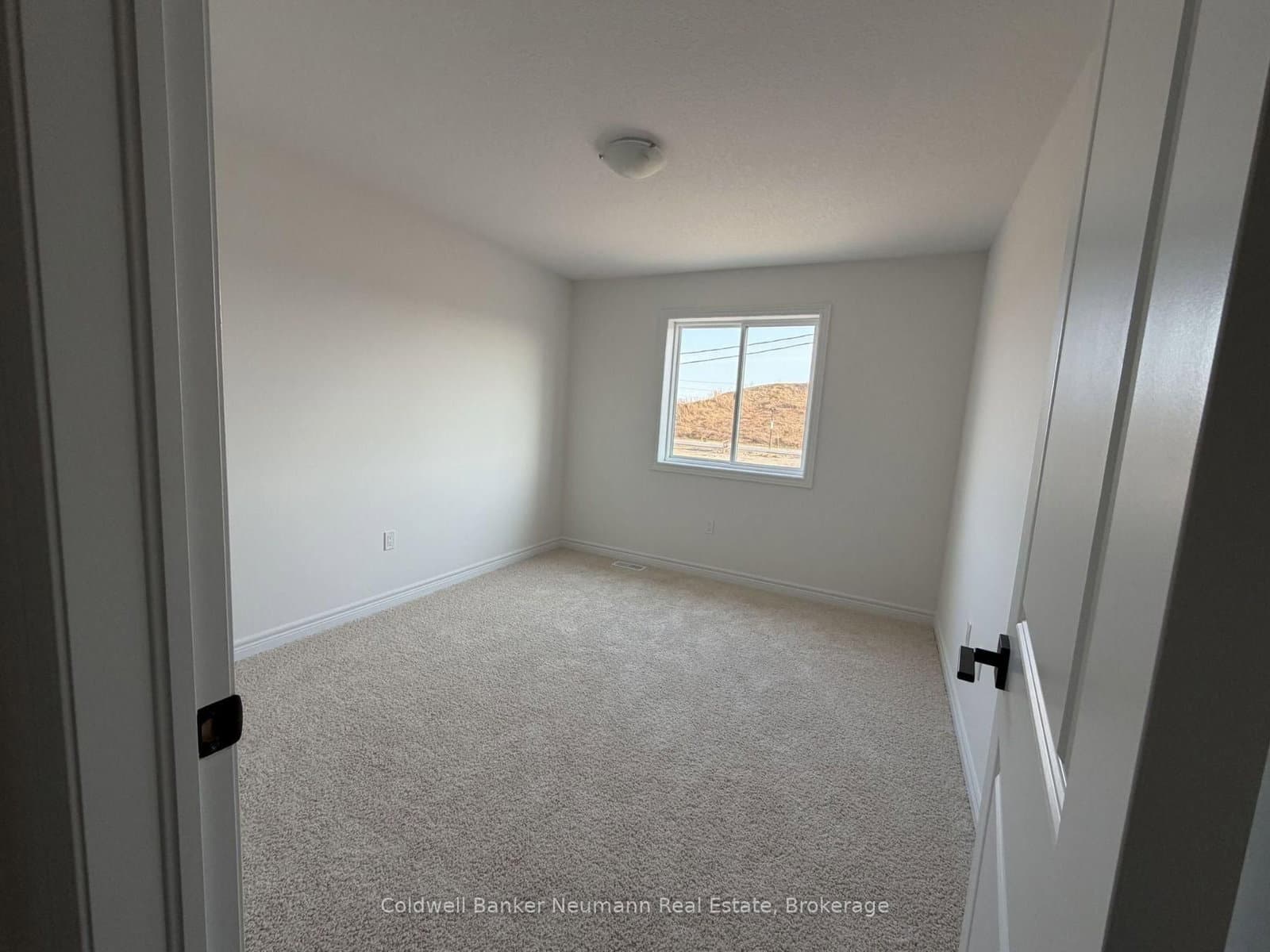 537 Anton Crescent thumbnail 17