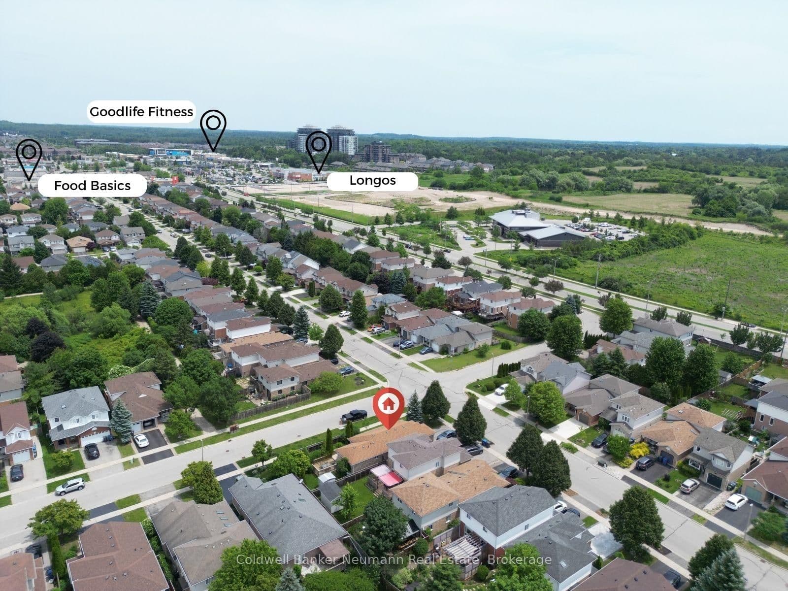 116 Doyle Drive thumbnail 33