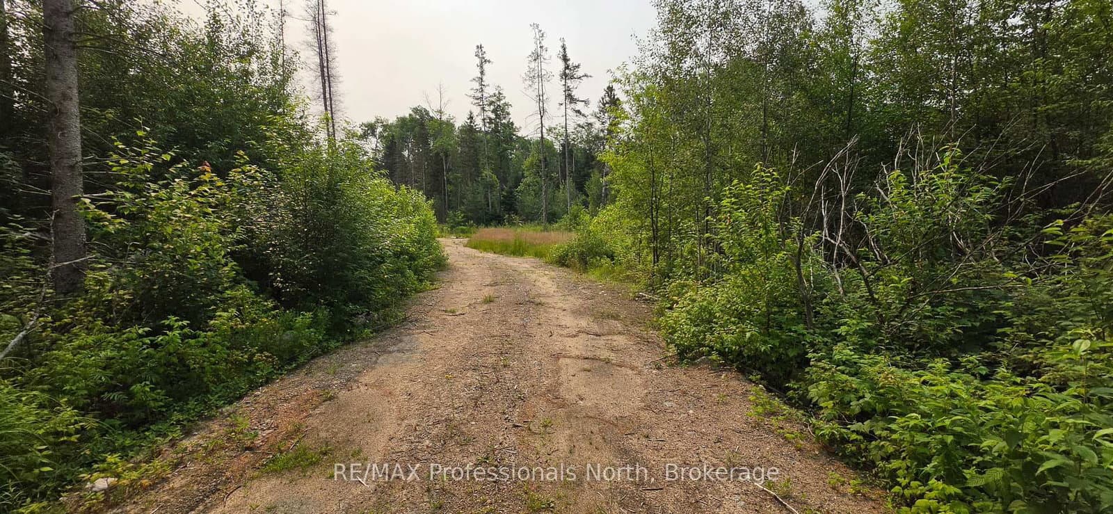 715 PICKERAL AND JACK LAKE Road thumbnail 4