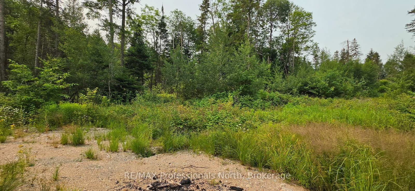 715 PICKERAL AND JACK LAKE Road thumbnail 5