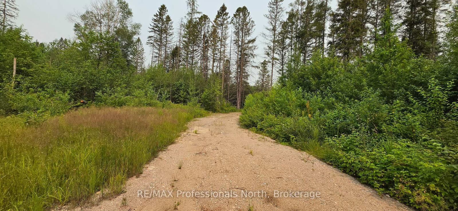 715 PICKERAL AND JACK LAKE Road thumbnail 6