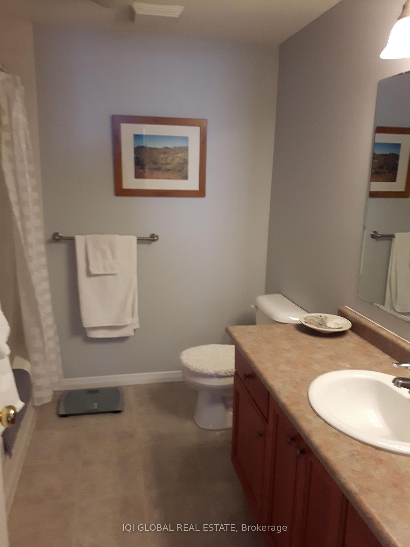 565 Wild Iris Avenue thumbnail 7