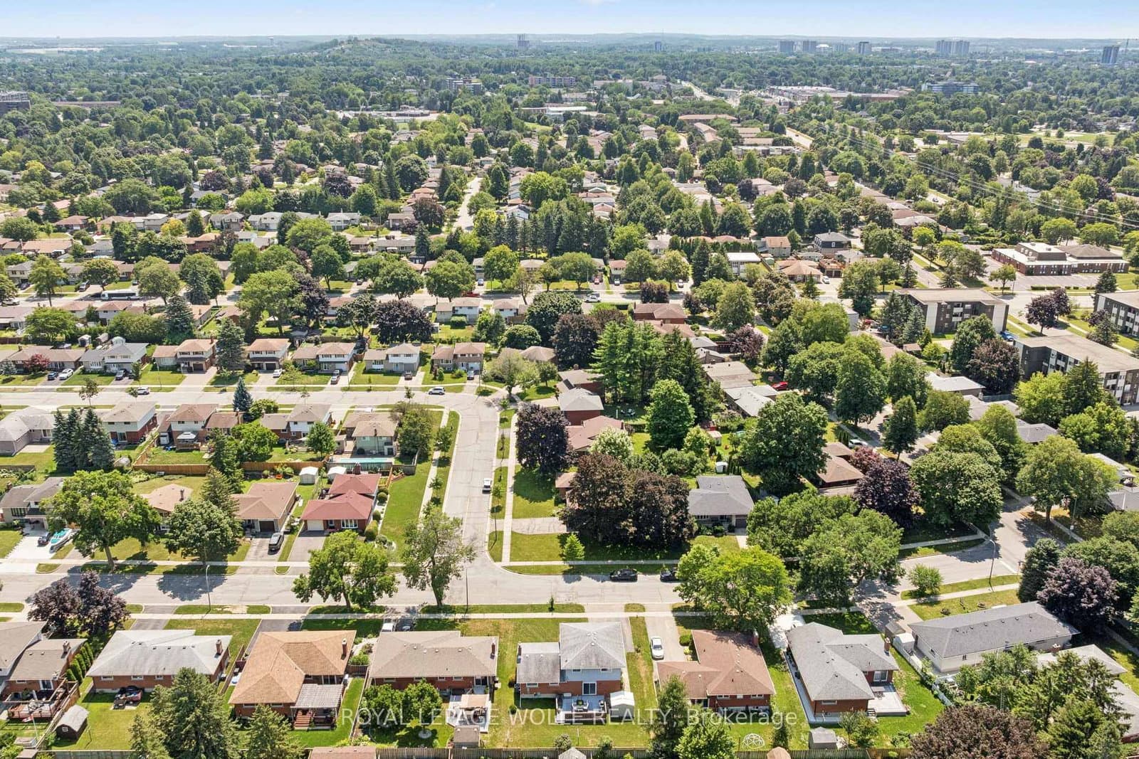 18 Strathcona Crescent thumbnail 41