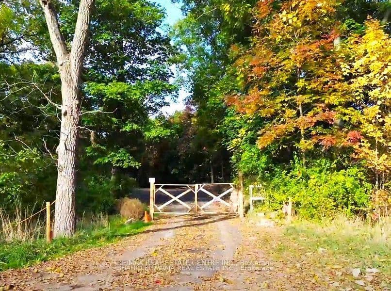 716 Artaban Road thumbnail 6