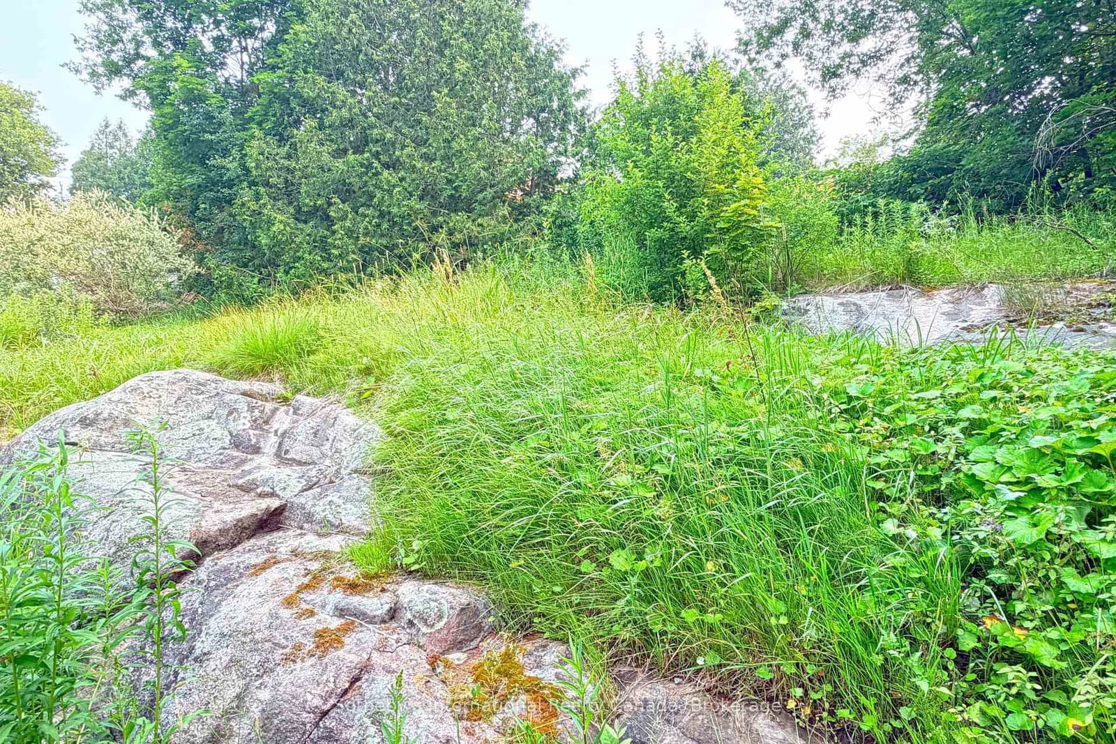 12A Valley Drive thumbnail 25