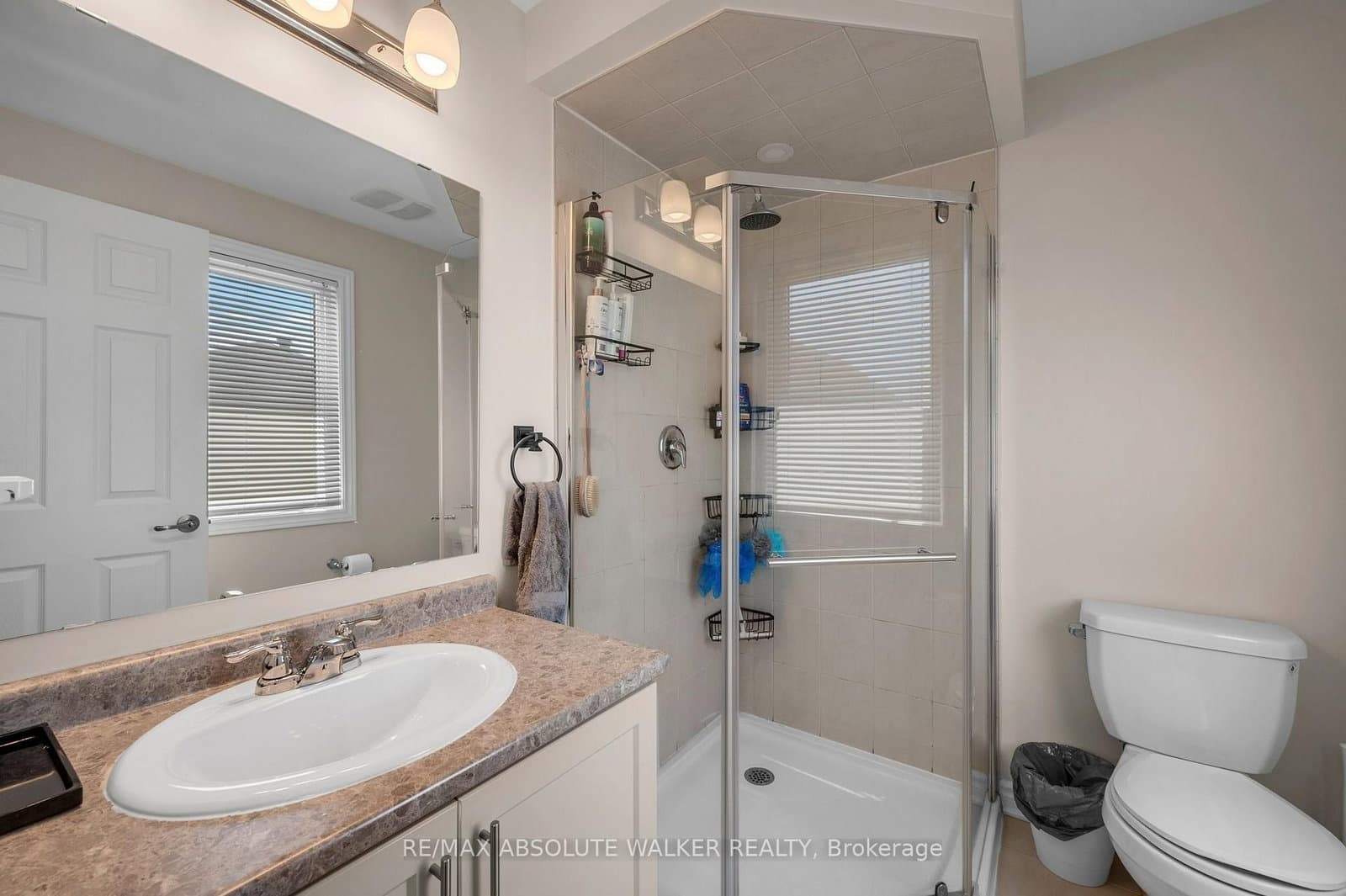 236 Willow Aster Circle thumbnail 15
