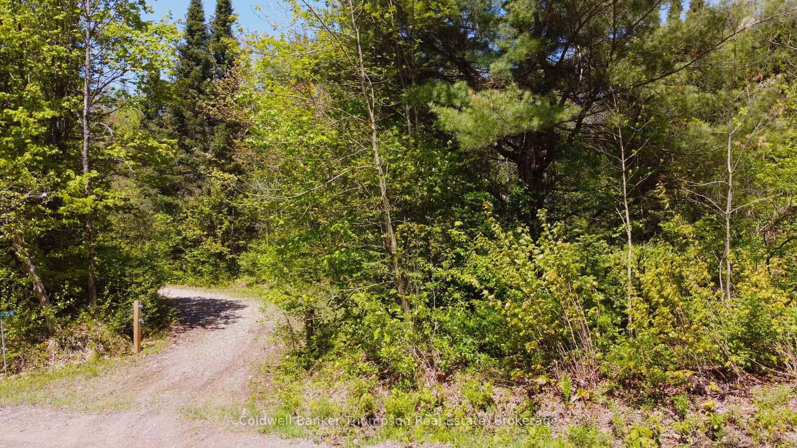 224 Madill Road thumbnail 13