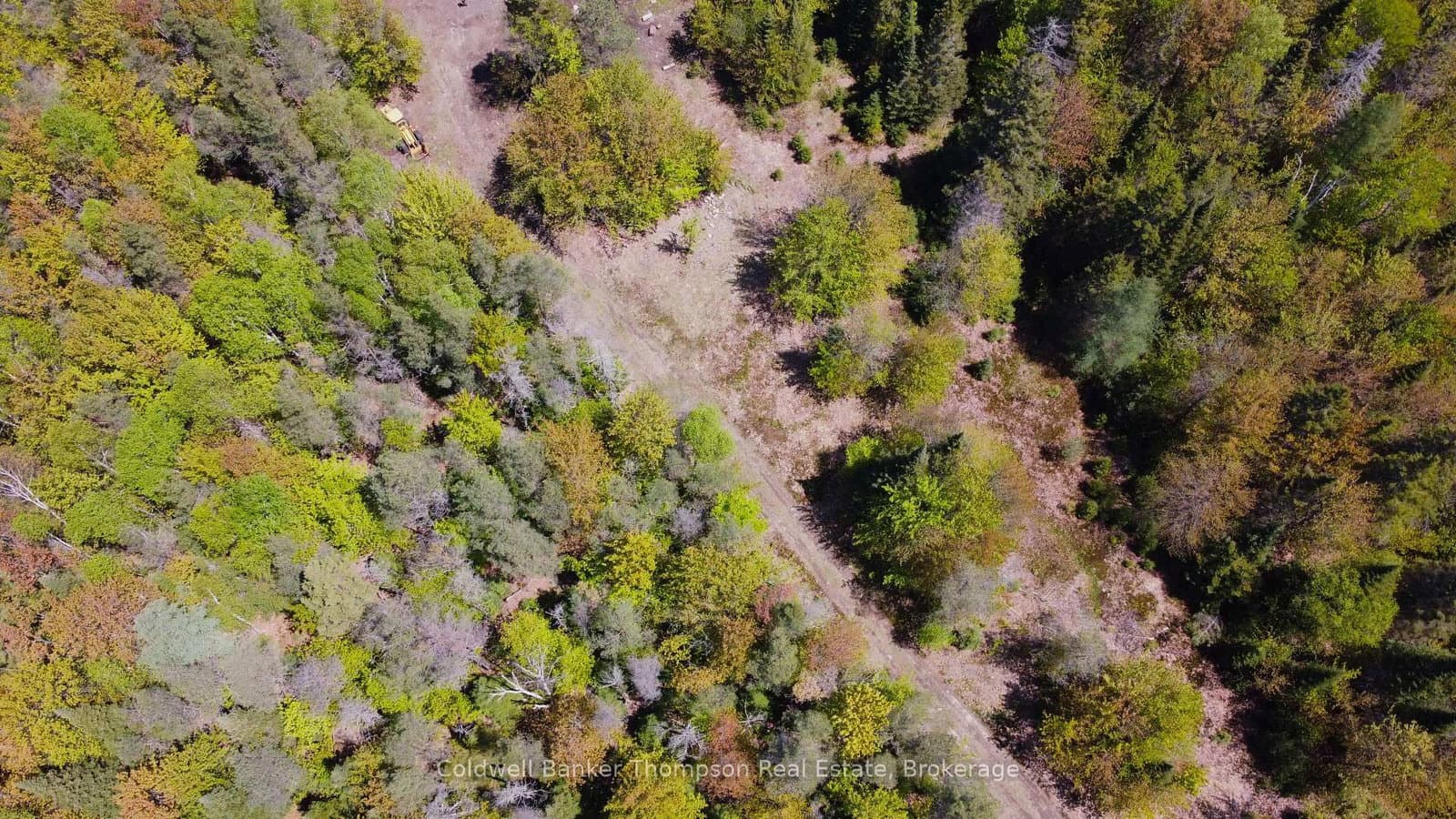 224 Madill Road thumbnail 9