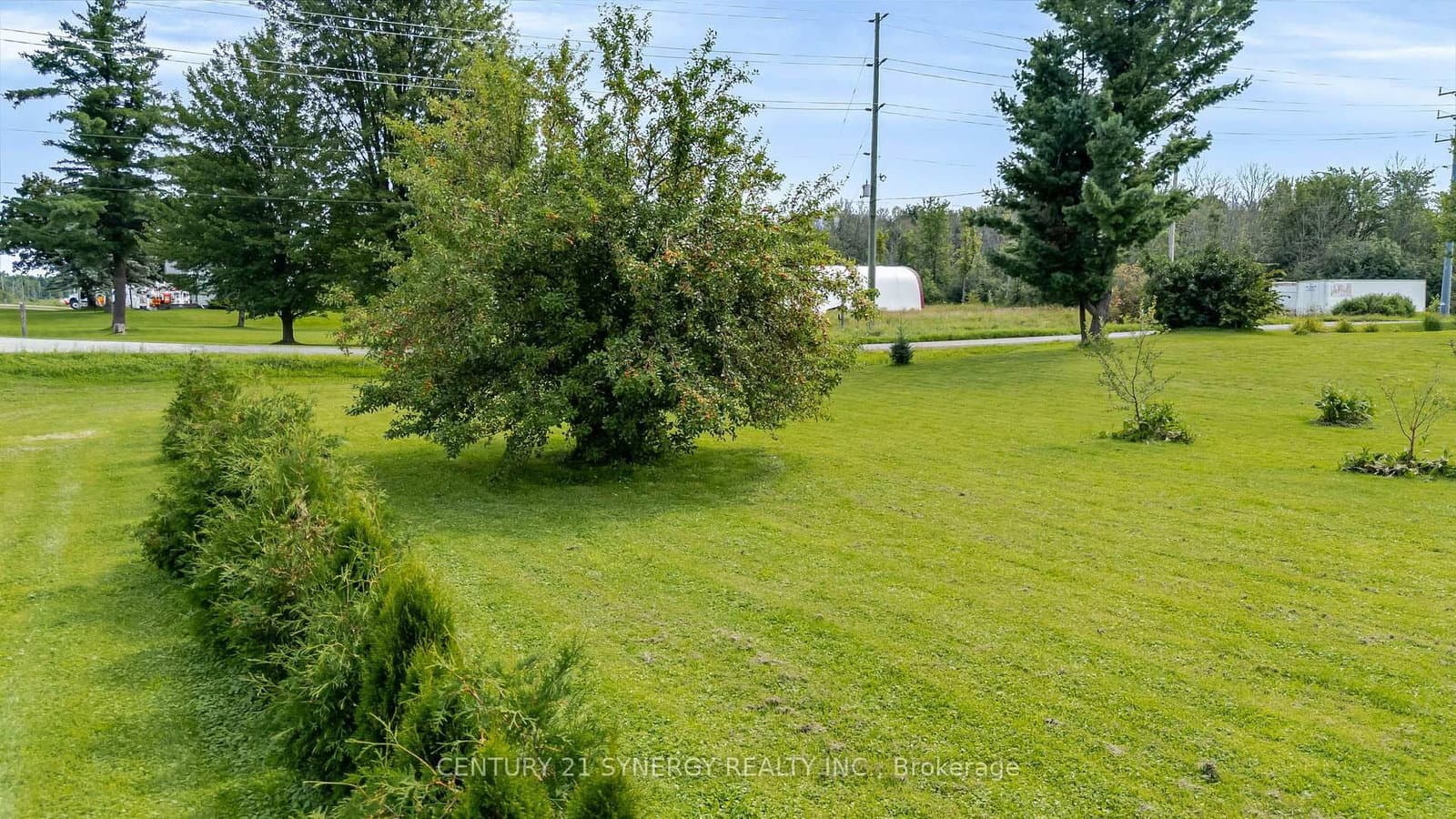 677 Bowes Side Road thumbnail 45