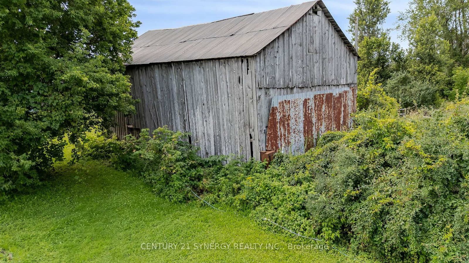 677 Bowes Side Road thumbnail 6