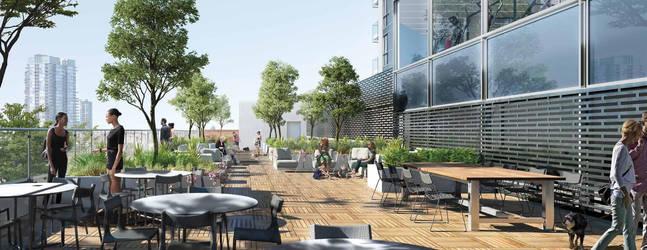DTK Condos thumbnail 6