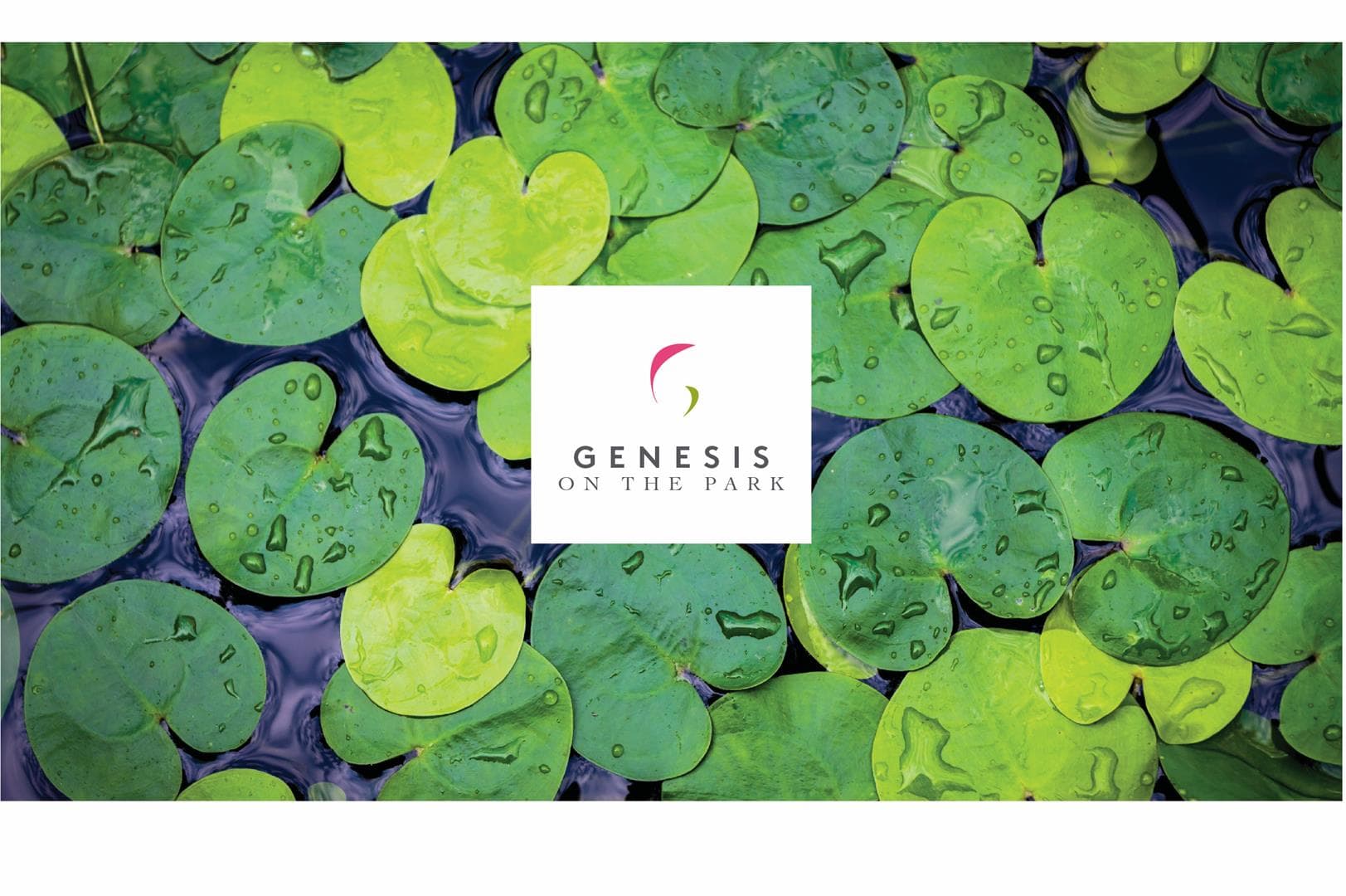 Genesis On The Park Condos thumbnail 2