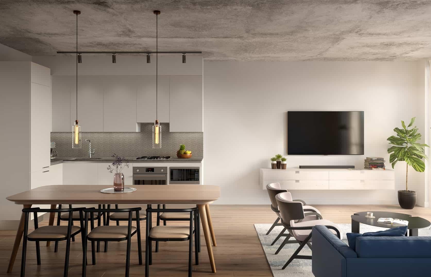 Junction House Condos thumbnail 11