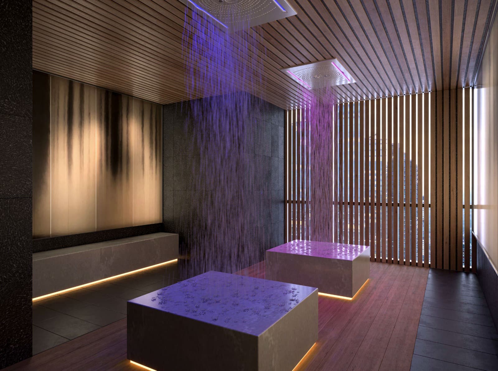 The Saint Condos thumbnail 12