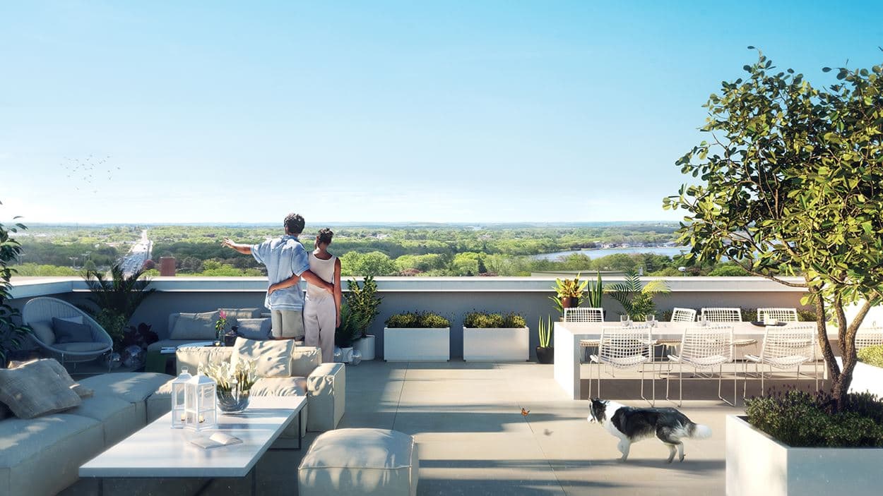 East City Condos thumbnail 6