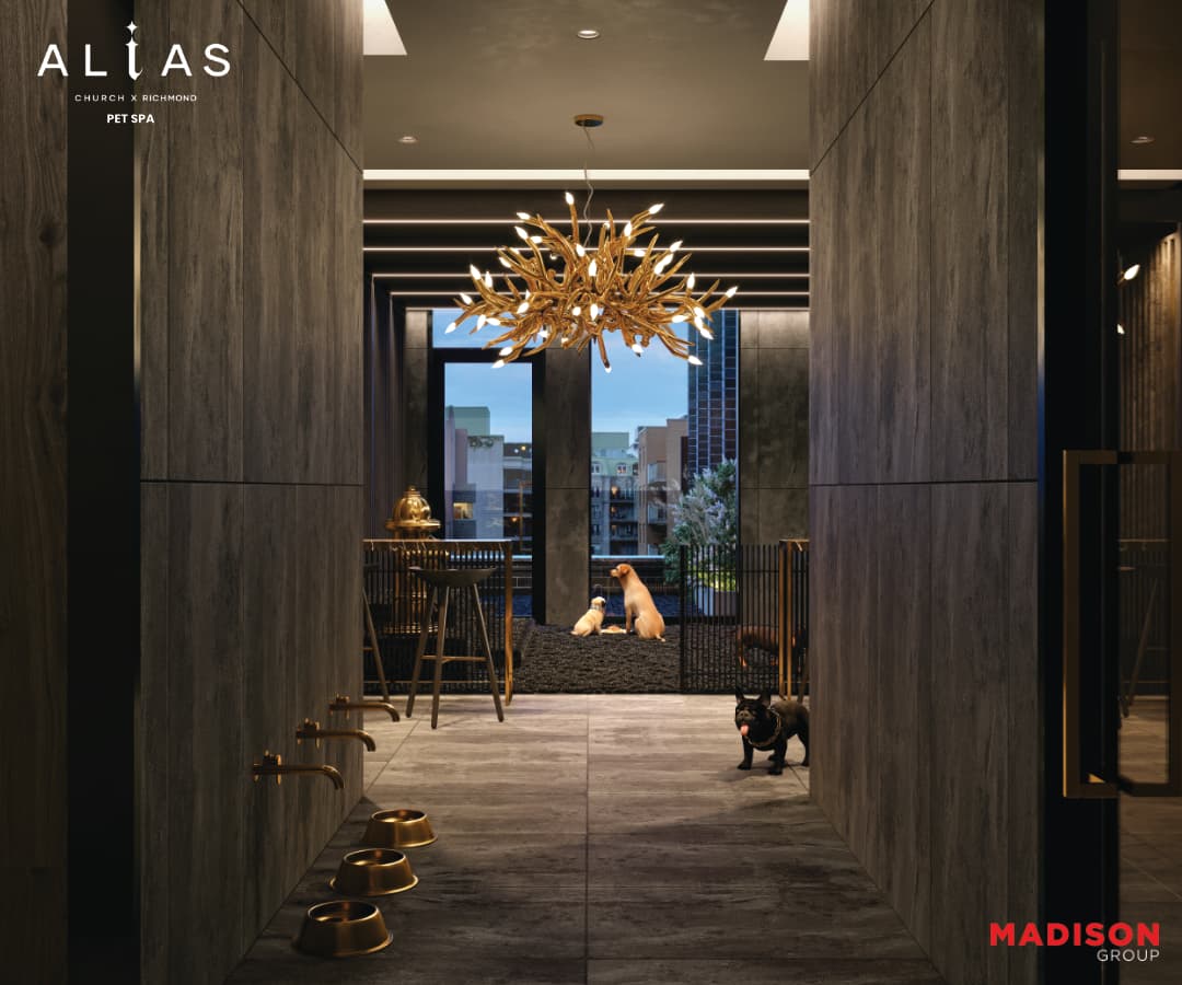Alias Condos thumbnail 12
