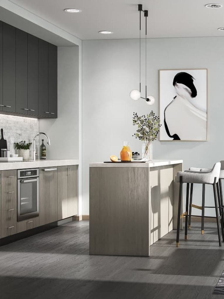 DUO at Station Park Condos thumbnail 6