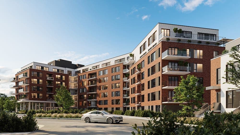 Dalia Condos thumbnail 3