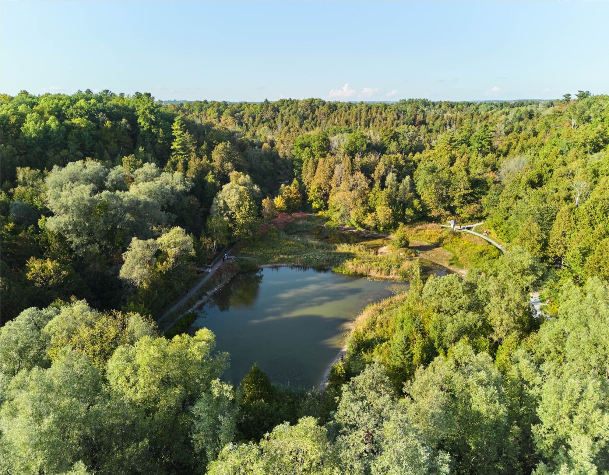 Ashburn Hills Homes thumbnail 6